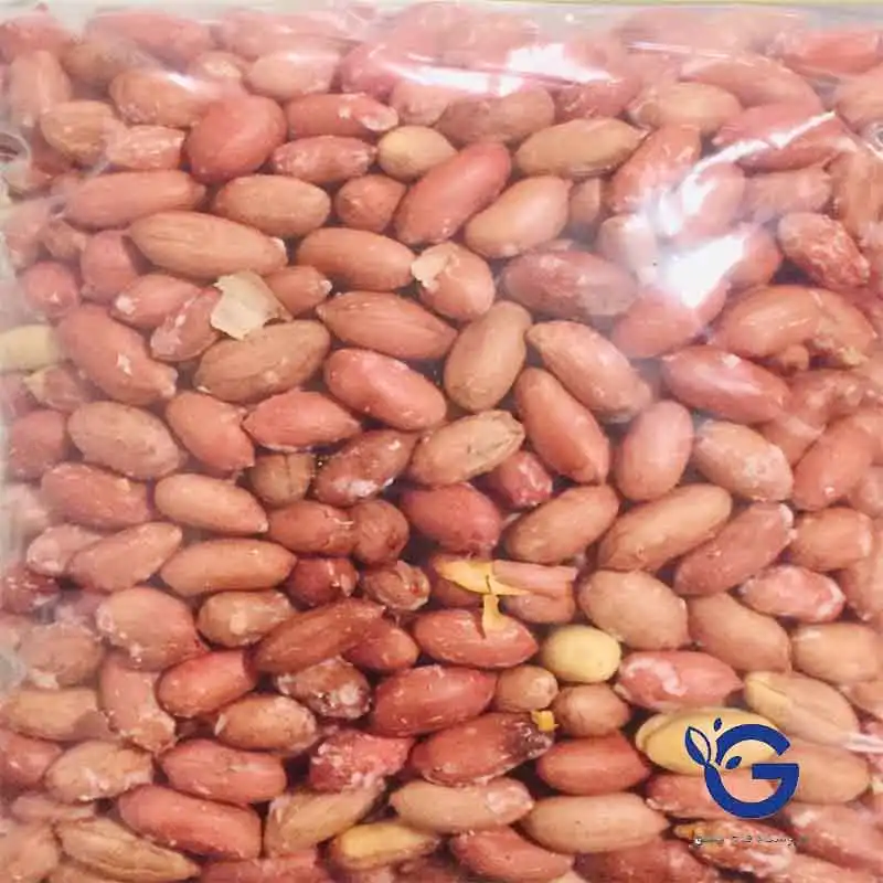 بادام زمینی برشته درشت درجه یک دشت مغان،