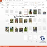 تحلیل و بررسی معماری باغ جهان نما شیراز