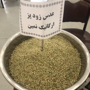 عدس زود پز ارگانیک نمین در بسته بندی 1 کیلویی